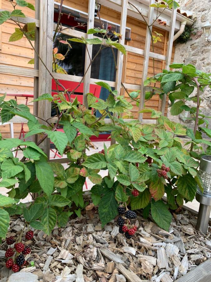 Bed and Breakfast La Basse Monniere Sevremont Exterior foto