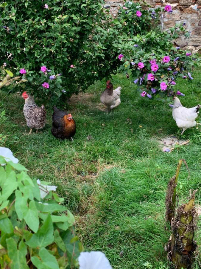 Bed and Breakfast La Basse Monniere Sevremont Exterior foto