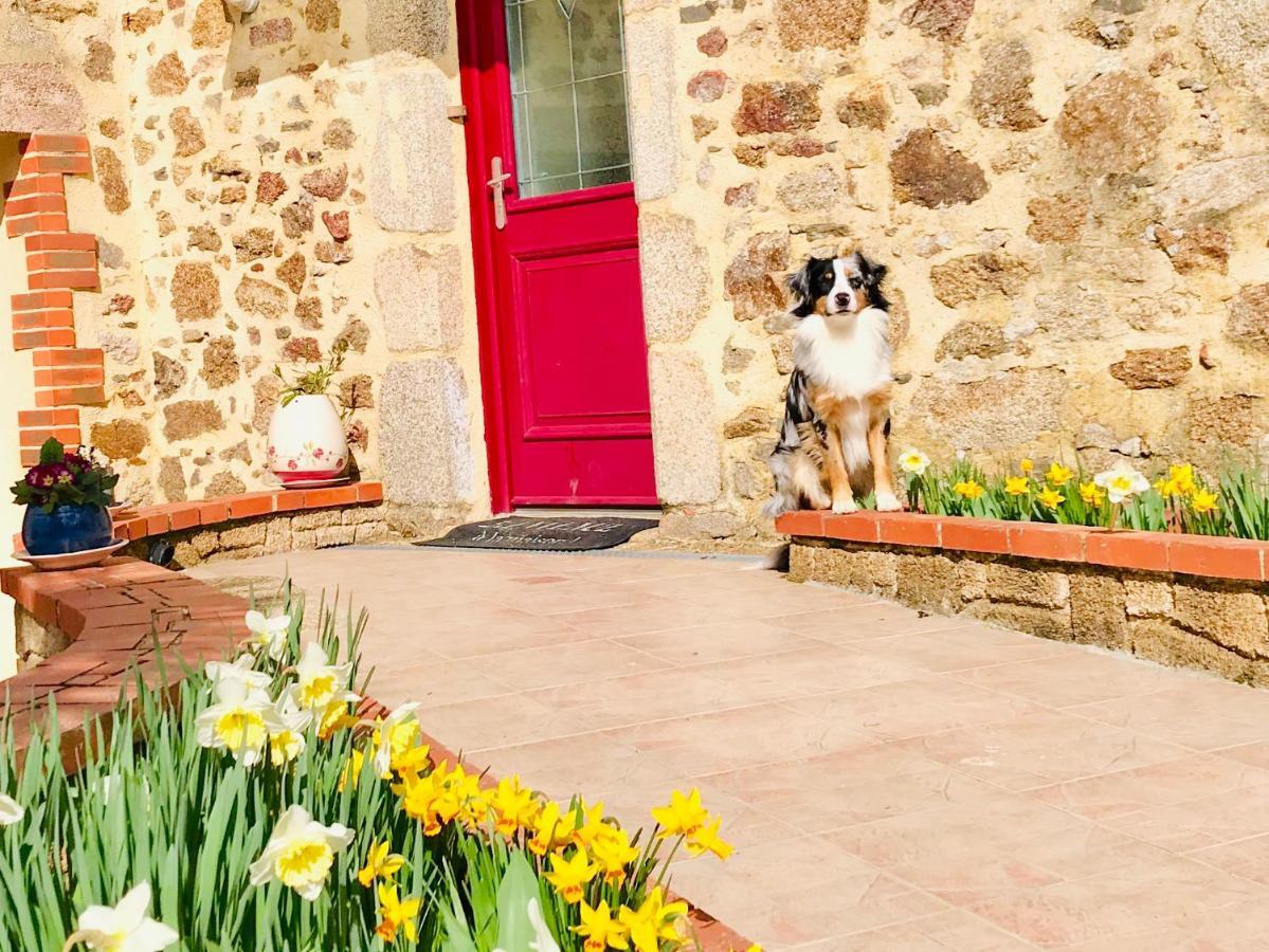 Bed and Breakfast La Basse Monniere Sevremont Exterior foto
